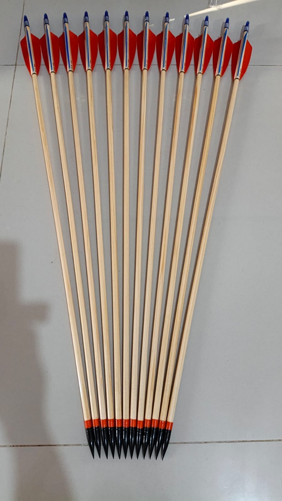 Arrow Pinus